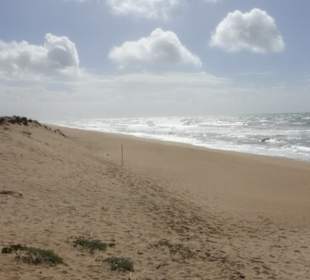 Ilha de Ancão / Ilha de Faro mit Dünen und Strand
