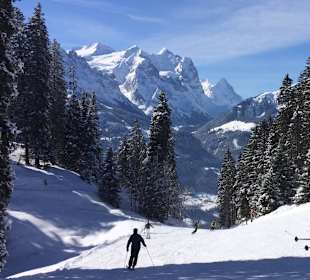 Skipiste Bidmi-Reuti