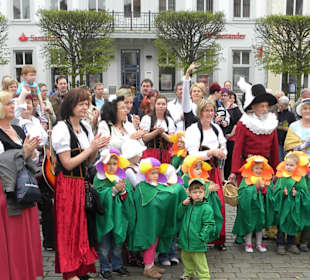 Altstadt Schwerin, Frühlingserwachen