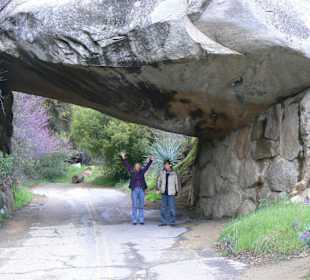 In der Nähe Saquia Nationalpark