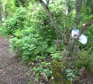 Mezger's Bürgle Park