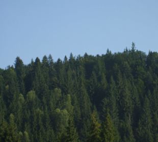 Parcul Natural Apuseni