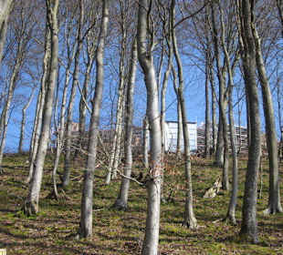 Dauerbaustelle Ruine Meistersel