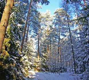 Im Winter