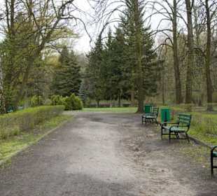 Park na Zdrowiu
