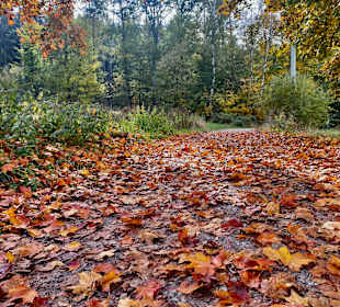 Wandern Furth im Wald