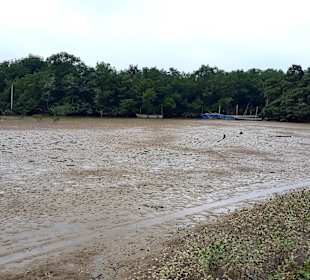 Rundgang Puerto Jeli