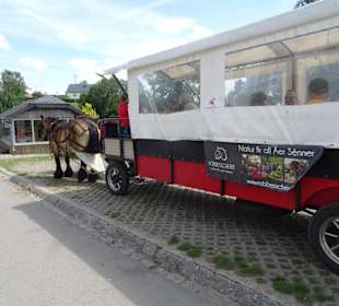 Kutschwagenfahrten im Freilichtmuseum