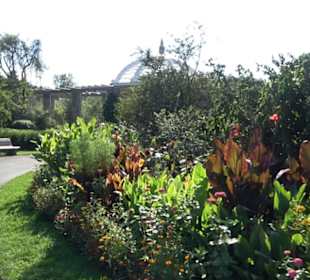 Botanischer Garten München