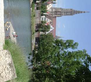 Blick von Neu-Ulm auf Münster