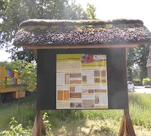 Bienenmuseum Moorrege
