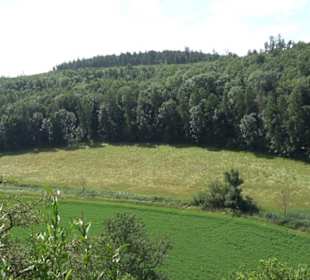 Burgruine Niederhaus