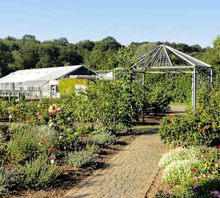 Impressionen aus dem Botanischen Garten