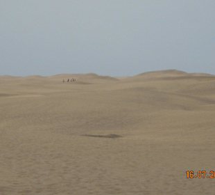 Dünen von Maspalomas