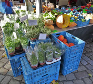 Rundgang über den herbstlichen Findorff-Markt