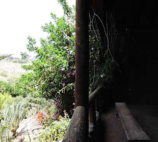 Oasispark - Kakteengarten - Juli 2015