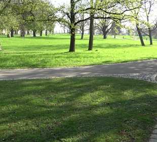 Rosensteinpark