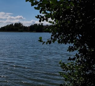 SEE-direkt in der Stadt