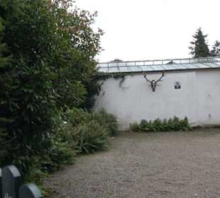Schloss Berg