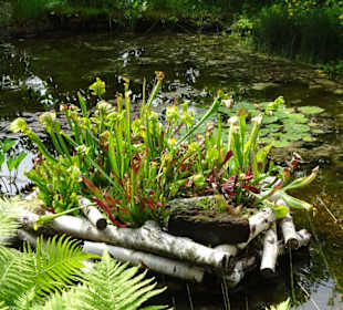 Impressionen aus dem Park der Gärten