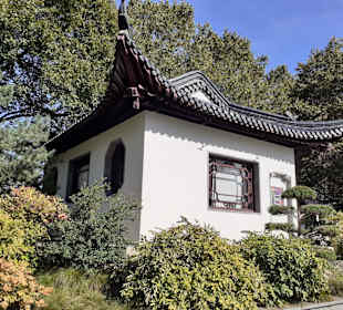 Luisenpark mit Fernmeldeturm