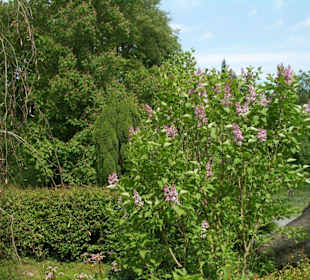 Beeindruckende Gärten