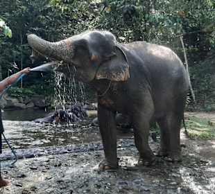 Geführte Touren Gaby Odty Khao Lak Thailand