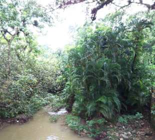 Auf dem Weg zum Wasserfall