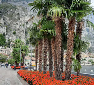 Vom Parkhaus in die Altstadt