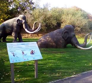 Gartenschau in Kaiserslautern