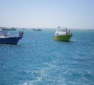 Ausflug zur Paradise Insel