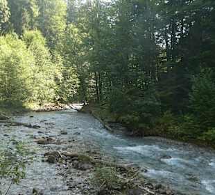 Bei einem Spaziergang im Oytal bei Oberstdorf