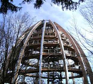Baumturm am Baumwipfelpfad