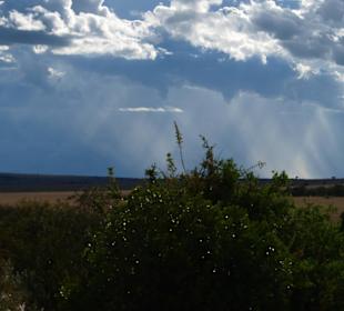 Sonnenstrahlen in der Masai Mara