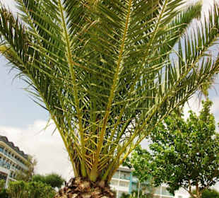 Evrenseki an der Promenade entlang