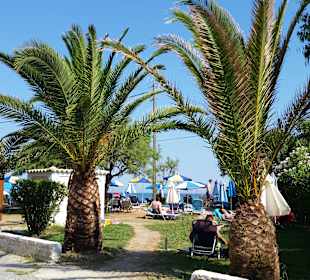 Strand Roda