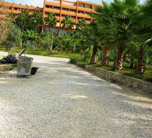 Inspirationen an d.Strandprom.entlang Nov.2010