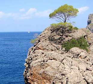 Natur pur - das ist Sa Calobra