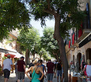 Altstadt Valldemosa