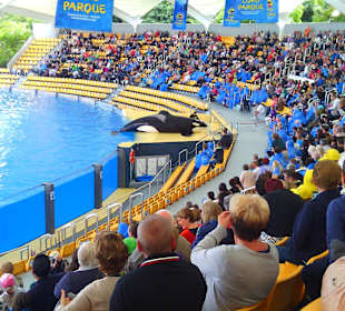 Ausflüge. Loro Park