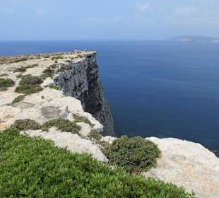 Eindrücke des Weges vom Tower zur blauen Lagune