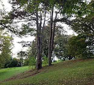 Toller Park - ganz in der Nähe