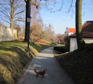 Klostergarten 