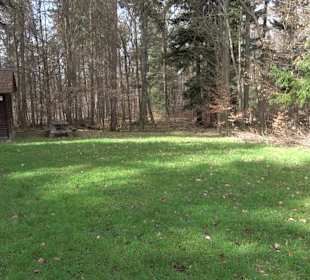 Gomaringer Rundweg - Zu den Giganten im Wald