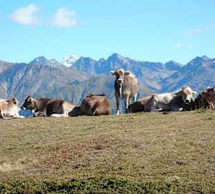 Panorama auf dem Weg zum Watles-Gipfel