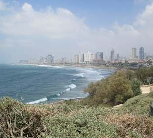 Plaża w Tel Awiwie