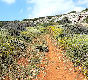 Nationalpark Kap Greco