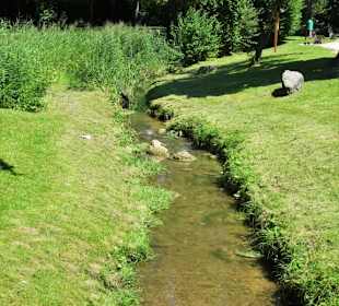 Der Bernauer Bach im Kurpark