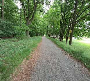 Kranichwoog Hütschenhausen in Hütschenhausen