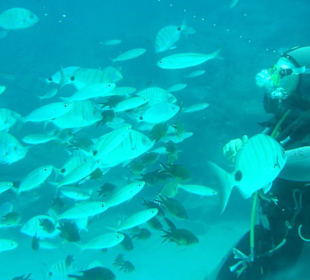 22 meter unter Wasser